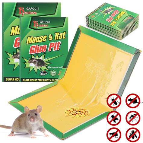 glue trap metal box|indoor mouse traps.